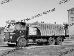 Leyland Hippo 19H / 1 / Chas. Brown (Miller) London / L047177a