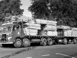 Leyland Octopus / Goswell Bros. Ltd / L049331a