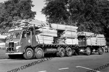 Leyland Octopus / Goswell Bros. Ltd / L049331a