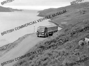 Leyland Octopus / Sutherland Transport Co Ltd / L049532a
