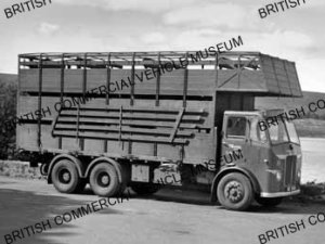 Leyland Hippo / Sutherland Transport Co Ltd / L049545a