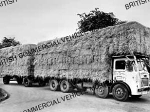 Leyland Octopus & trailer / W A North & Son Ltd., Bourne / L058051a