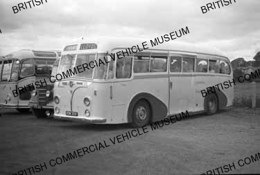 Leyland Royal Tiger PSU1/11 / Harrington Wayfarer C41C / Lloyd, Bagilt / MAT0462q