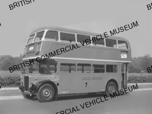 Leyland / bus / London Transport / L037899j